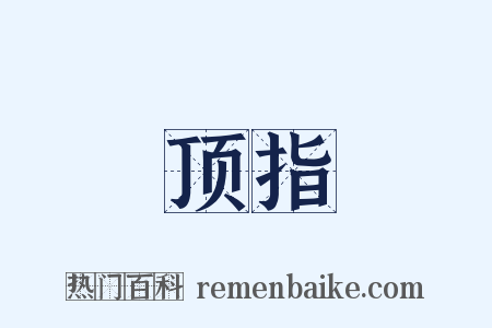 顶指是什么意思的图片